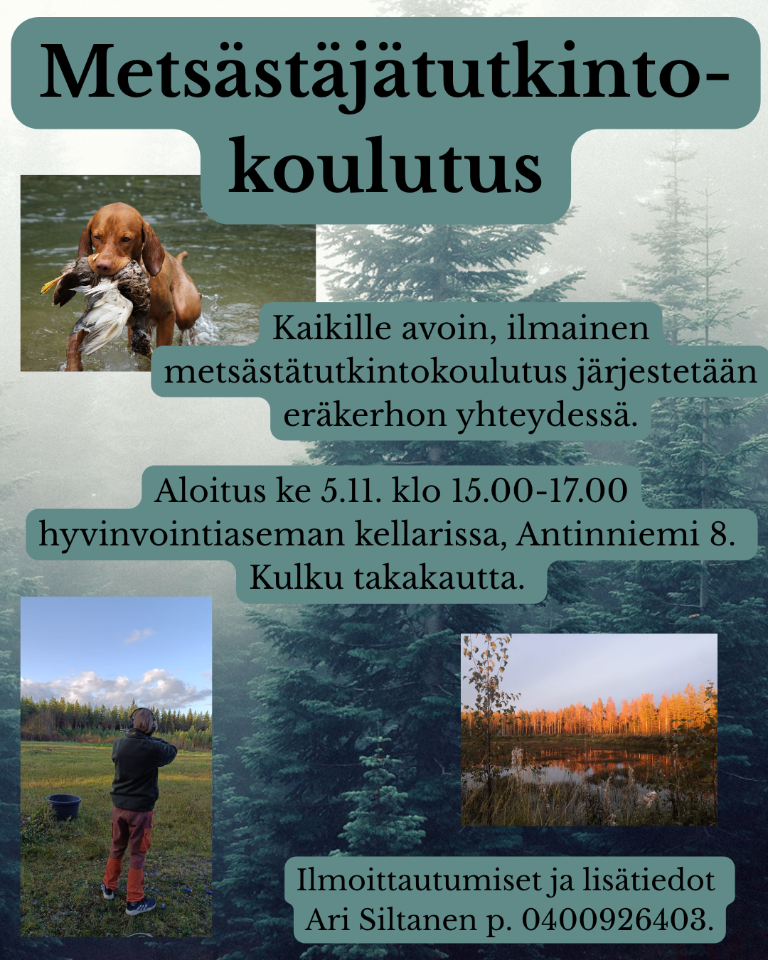 Metsstjtutkintokoulutus